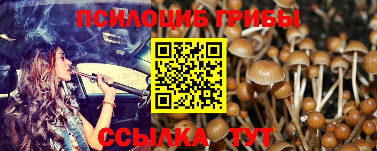 Кстово  Псилоцибиновые грибы GOLDEN TEACHER  Вход с VPN  Псилоцибиновые грибы ЛСД 